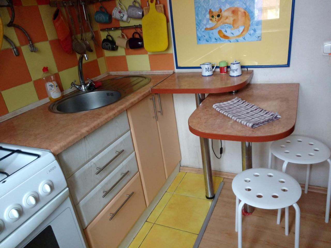 Three Bedroom Stepana Bandery Street Apartment